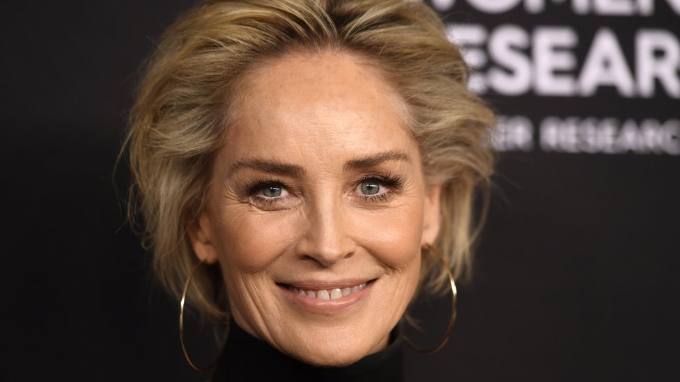 Sharon Stone reveló que le robaron 18 millones de dólares tras sufrir un derrame cerebral