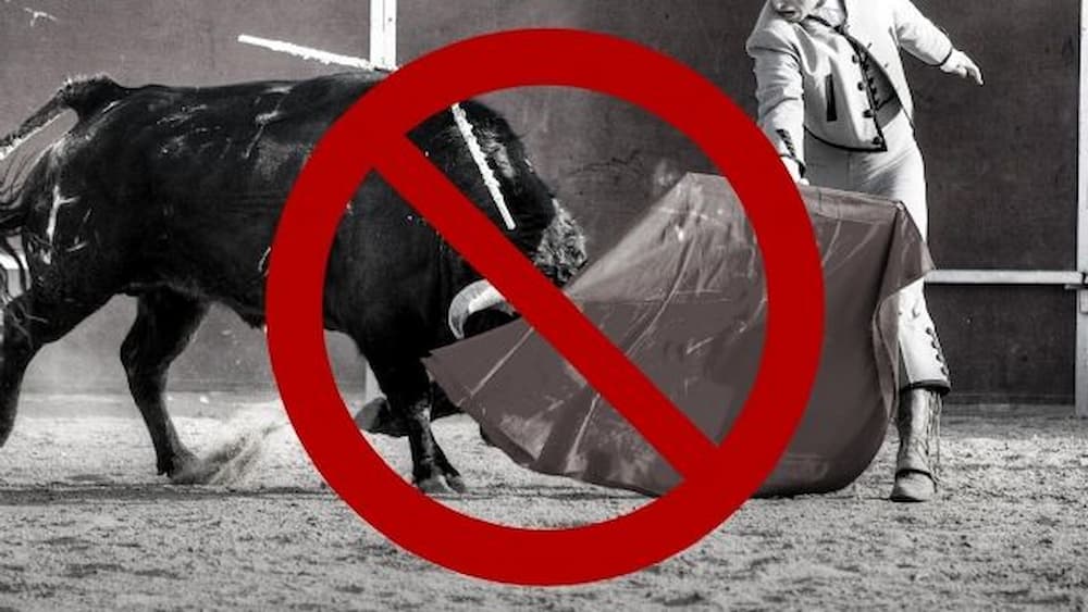 ¡Adiós a la Sangre! La Nueva Propuesta de Corridas de Toros en CDMX que Está Dividiendo Opiniones