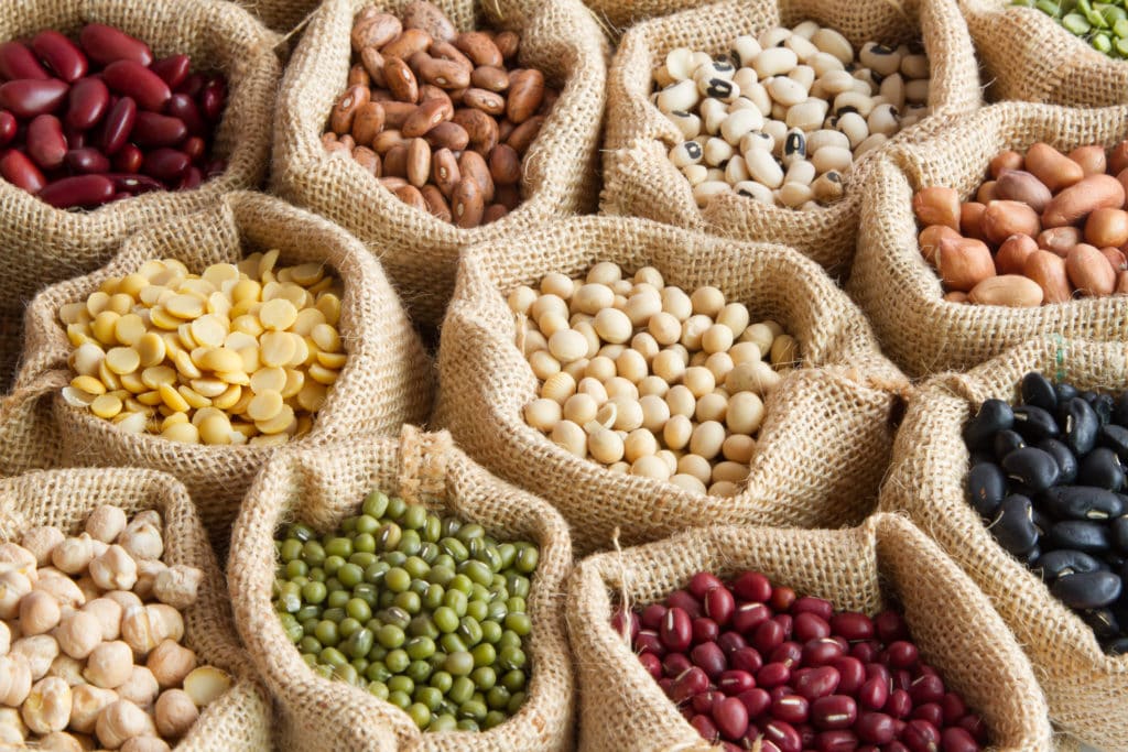 Comer sano sin aburrirte: 6 ideas con proteína vegetal que saben a gloria