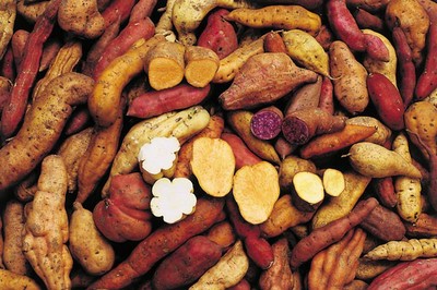 Camote, alma de tierra y sol: recetas que despiertan sentidos y corazones