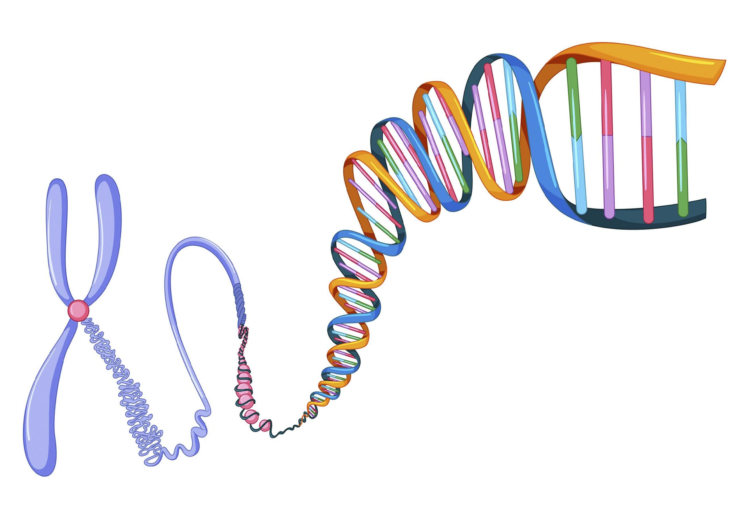Epigenética: cómo tus emociones y tu estilo de vida reprograman tu ADN