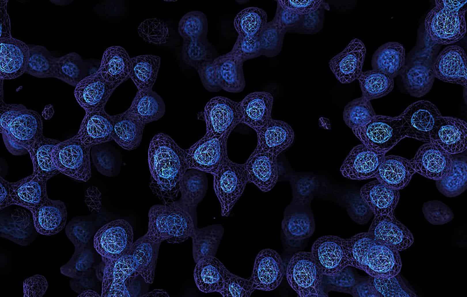 Amor bajo el microscopio: así se crean conexiones profundas con pura ciencia