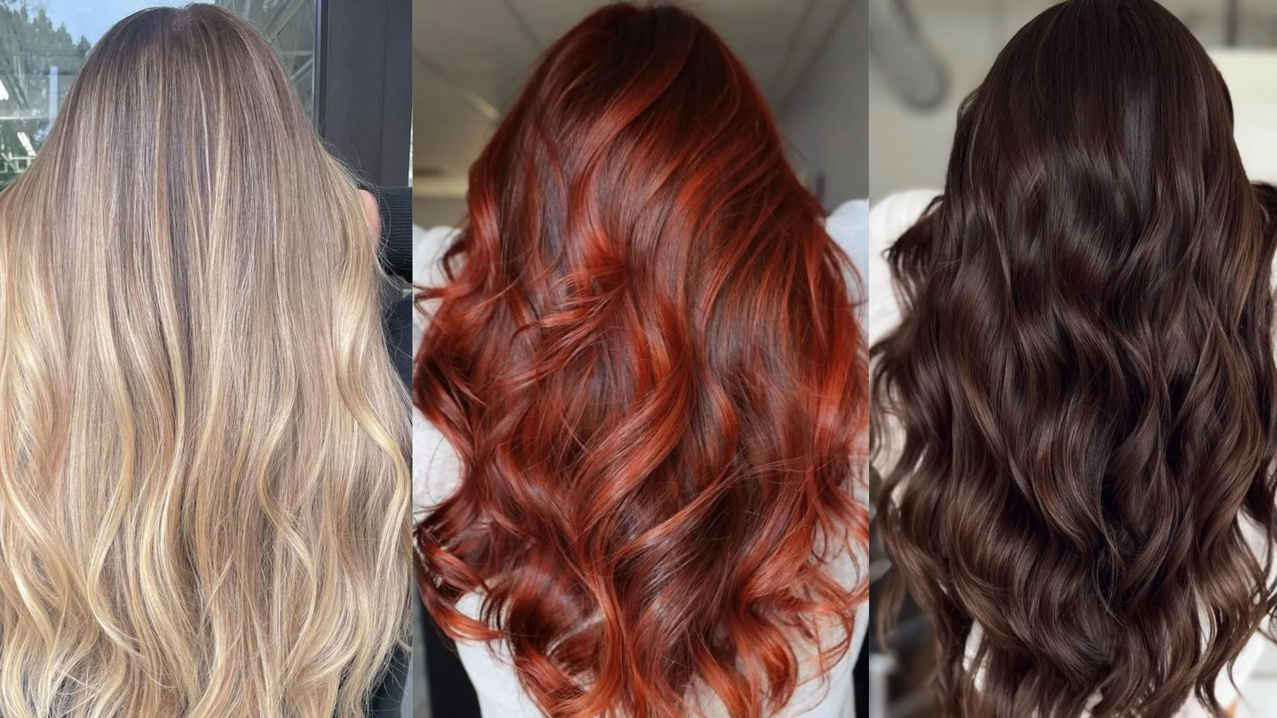 Descubre los 3 tintes en tendencia para 2026 que ayudan a disimular las canas y aportan luminosidad al rostro
