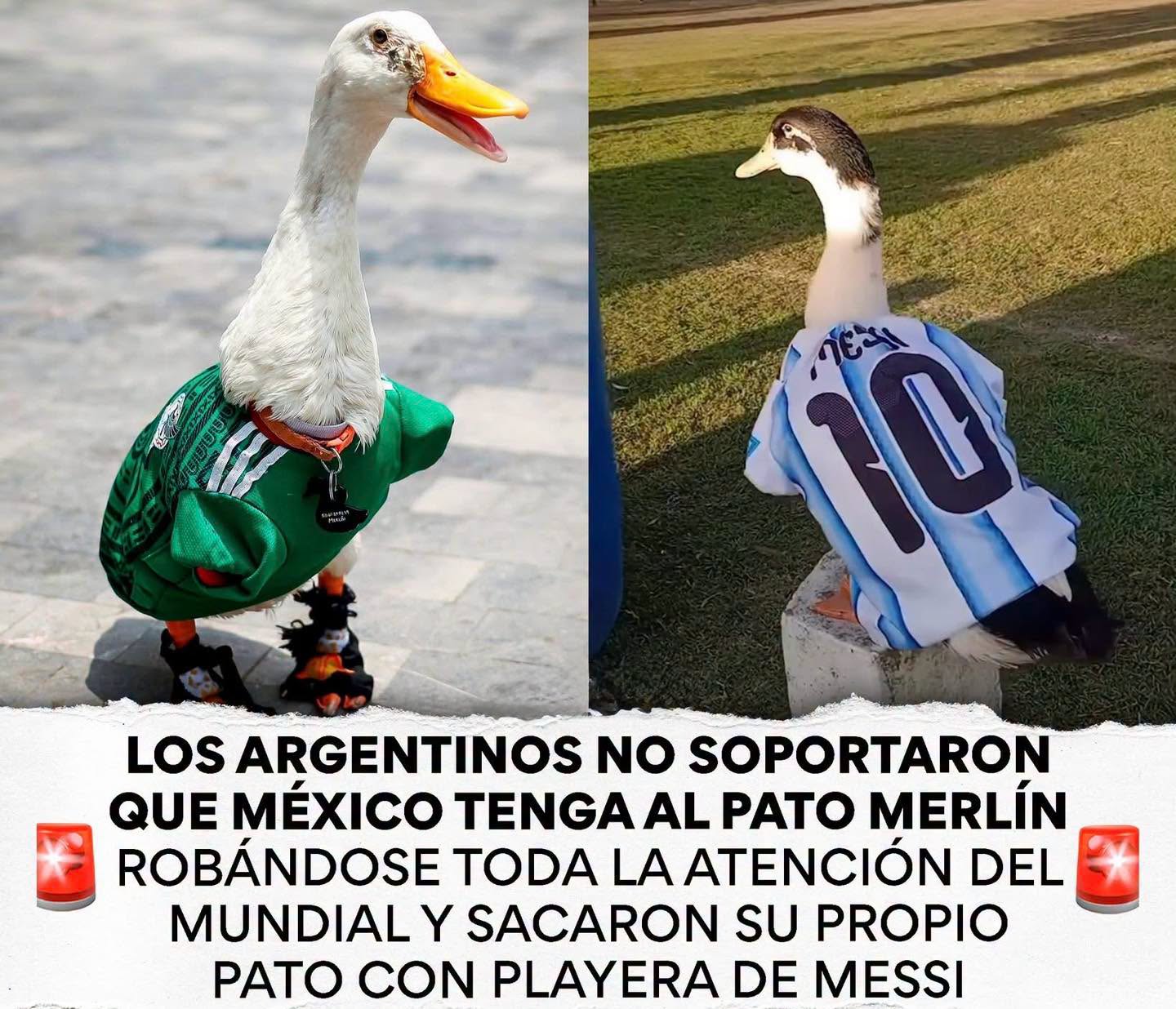 ¿Argentina Le copio a México?