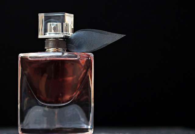 10 perfumes ideales para el invierno 2026 con aromas frescos y sofisticados para mujeres elegantes